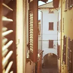 Apartman House Of Cats