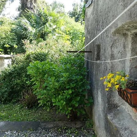 Appartamento House Of Cats Domaso