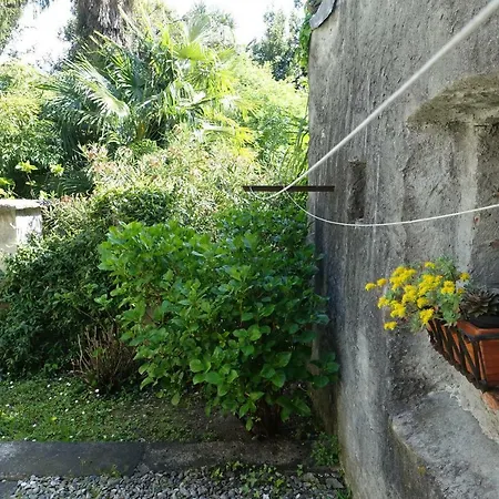 Apartment House Of Cats Domaso